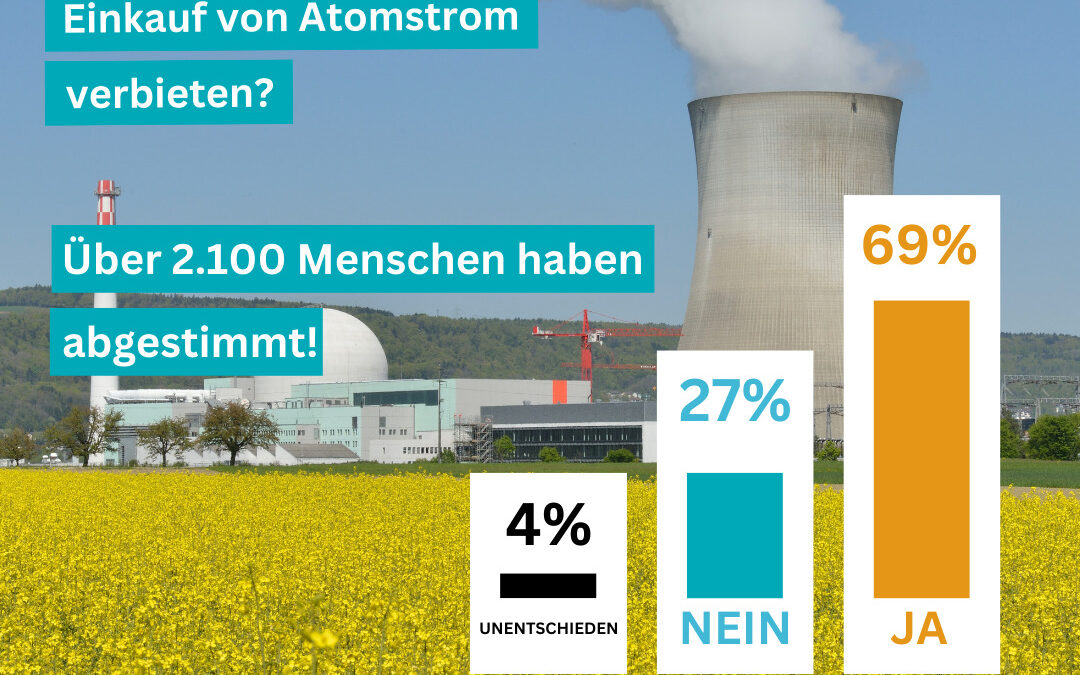 Abstimmung: Einkauf von Atomstrom verbieten?